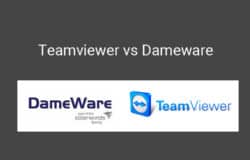 teamviewer vs dameware